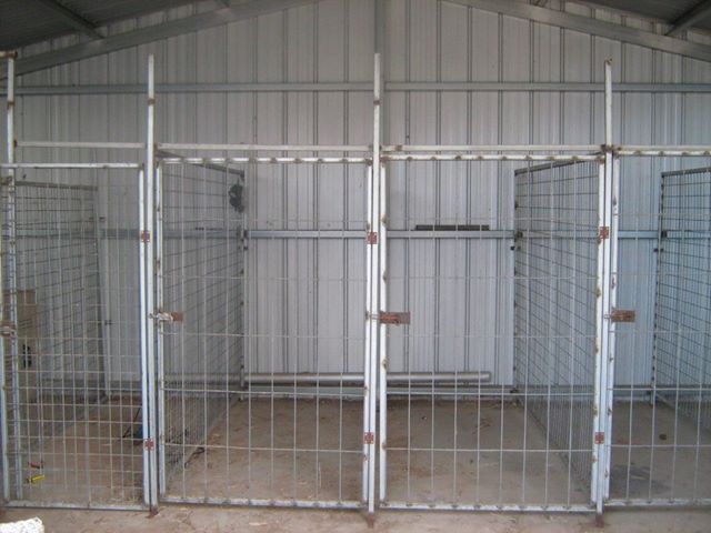 greyhound boarding kennels