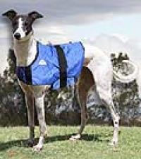 cool_vest_canine9.jpg